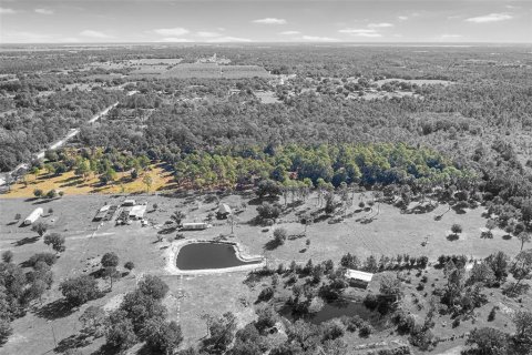 Land in Frostproof, Florida № 2123078 - photo 9