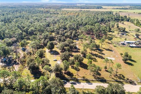 Land in Frostproof, Florida № 2123078 - photo 18