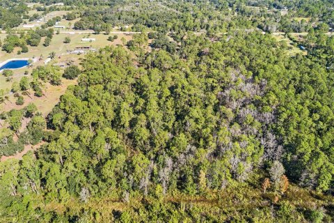 Land in Frostproof, Florida № 2123078 - photo 12