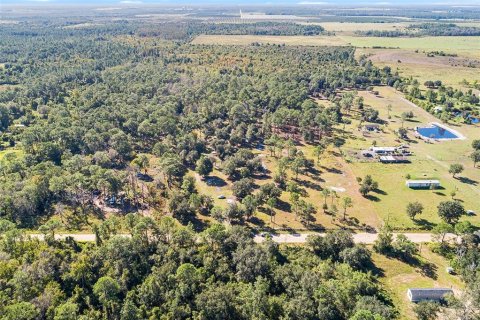 Land in Frostproof, Florida № 2123078 - photo 15