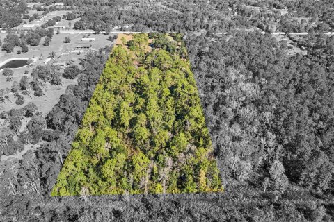 Land in Frostproof, Florida № 2123078 - photo 11