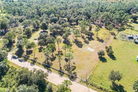 Land in Frostproof, Florida № 2123078 - photo 2