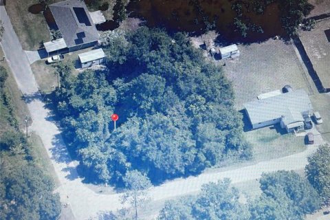 Land in Summerfield, Florida № 2159897