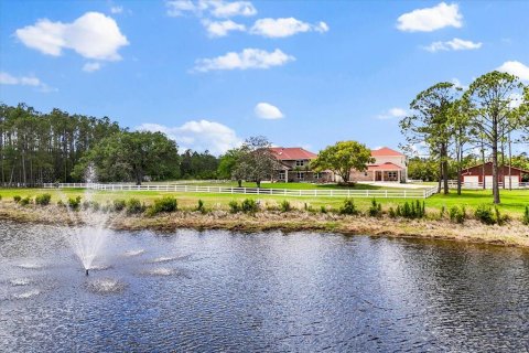 House in New Smyrna Beach, Florida 7 bedrooms, 533.91 sq.m. № 1670210 - photo 1