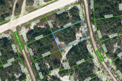 Land in Lake Placid, Florida № 2207836