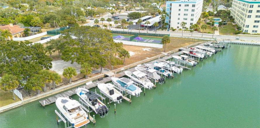 Immobilier commercial à Gulfport, Floride № 2389319
