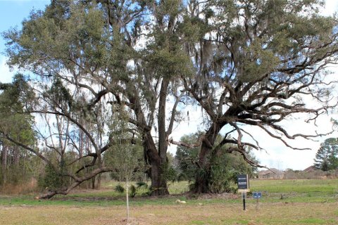 Terreno en venta en Newberry, Florida № 1253814 - foto 4