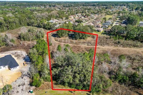 Terreno en venta en Newberry, Florida № 1253814 - foto 1