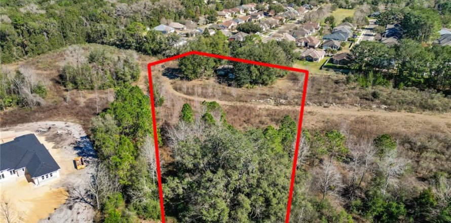 Land in Newberry, Florida № 1253814