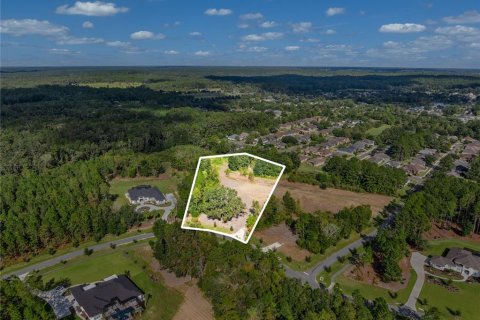 Terreno en venta en Newberry, Florida № 1253814 - foto 2