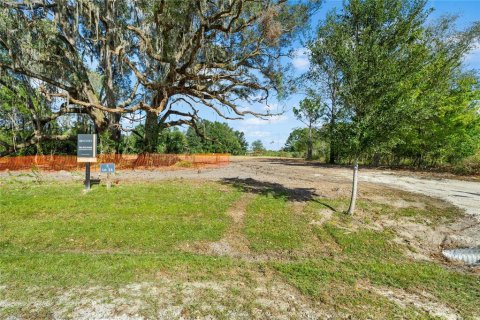 Terreno en venta en Newberry, Florida № 1253814 - foto 3