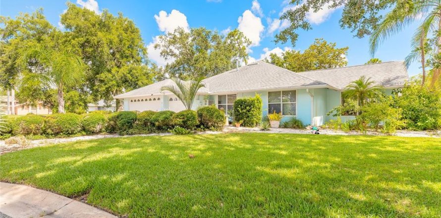Casa en New Smyrna Beach, Florida 3 dormitorios, 255.39 m2 № 1801502