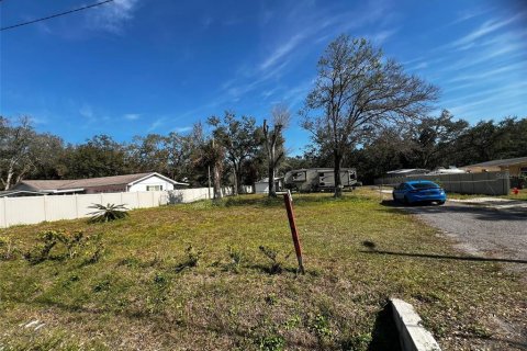 Terreno en venta en Tampa, Florida № 1527552 - foto 3