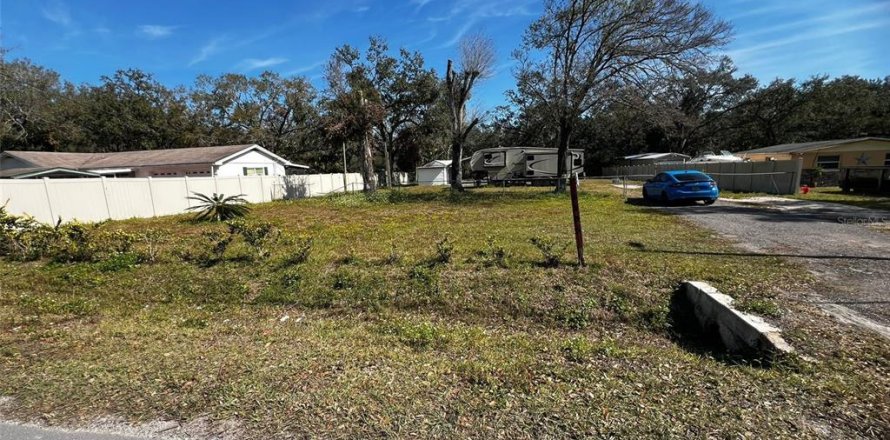 Terreno en Tampa, Florida № 1527552