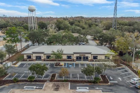 Propiedad comercial en venta en Lutz, Florida, 700.48 m2 № 1283523 - foto 3