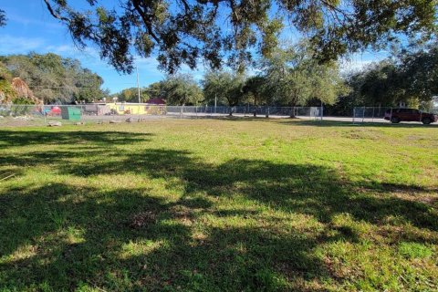 Land in Orlando, Florida № 1823318 - photo 3