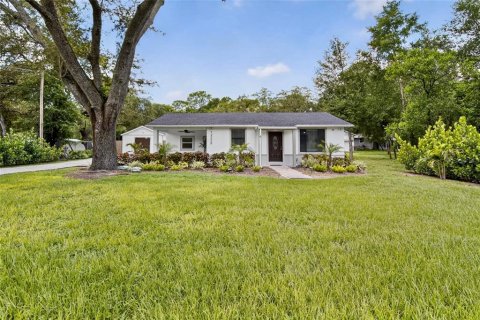 House in Temple Terrace, Florida 3 bedrooms, 106.74 sq.m. № 1854639 - photo 4