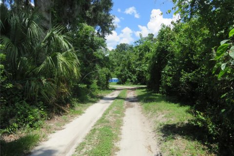 Land in Summerfield, Florida № 2218801 - photo 6
