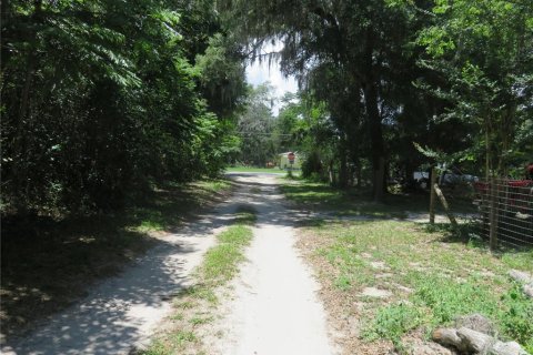 Land in Summerfield, Florida № 2218801 - photo 9