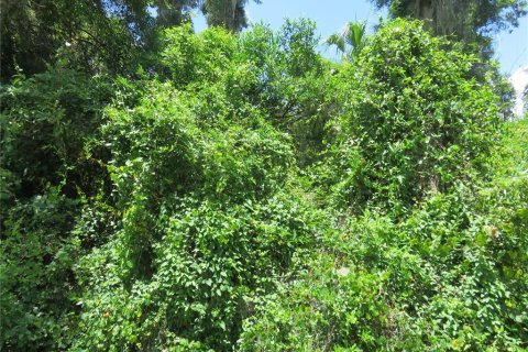 Land in Summerfield, Florida № 2218801