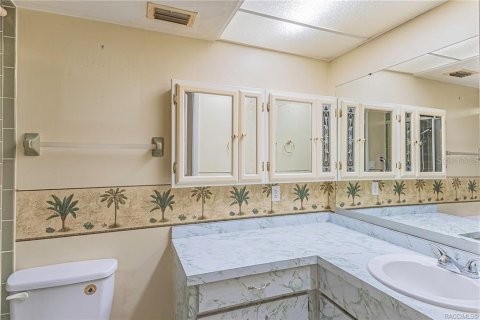 Villa ou maison à vendre à Inverness, Floride: 3 chambres, 188.59 m2 № 2389114 - photo 24