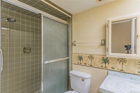 Villa ou maison à vendre à Inverness, Floride: 3 chambres, 188.59 m2 № 2389114 - photo 25