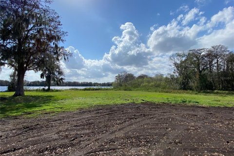 Land in Sanford, Florida № 1357995 - photo 3