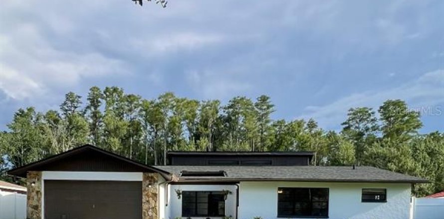 Casa en Lutz, Florida 4 dormitorios, 230.21 m2 № 1855975