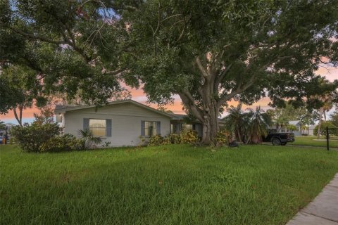 Villa ou maison à vendre à Tampa, Floride: 3 chambres, 153.85 m2 № 2314629 - photo 2