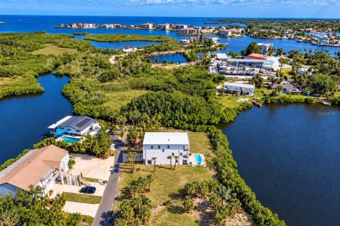 Casa en Port Richey, Florida 4 dormitorios, 269.42 m2 № 2421981