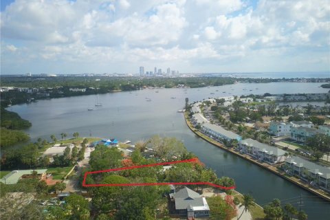 House in Saint Petersburg, Florida 2 bedrooms, 184.97 sq.m. № 1658673 - photo 3