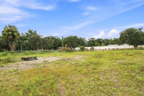 Land in Tampa, Florida № 2322424 - photo 28