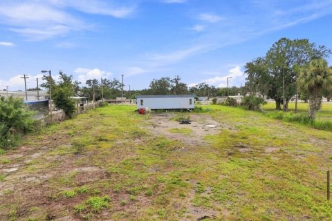 Land in Tampa, Florida № 2322424 - photo 8