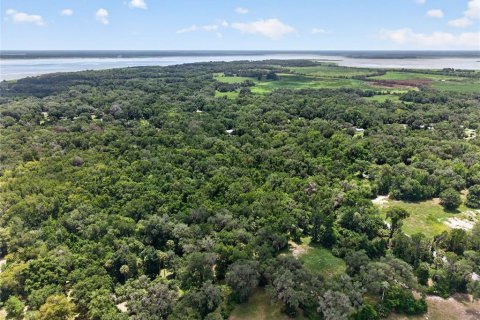Land in Micanopy, Florida № 2197084 - photo 17