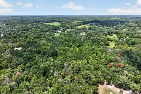 Land in Micanopy, Florida № 2197084 - photo 4