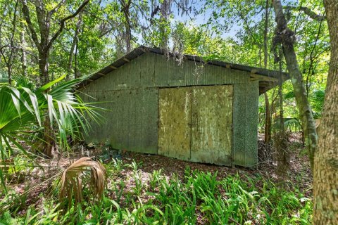 Land in Micanopy, Florida № 2197084 - photo 12