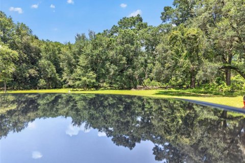 Land in Micanopy, Florida № 2197084 - photo 18