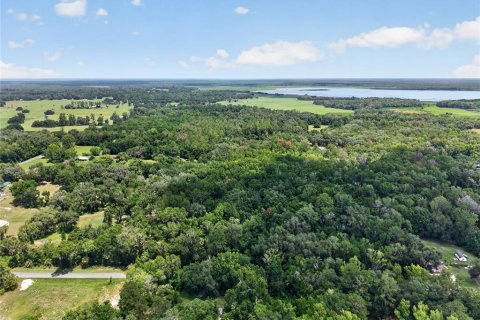 Land in Micanopy, Florida № 2197084 - photo 10