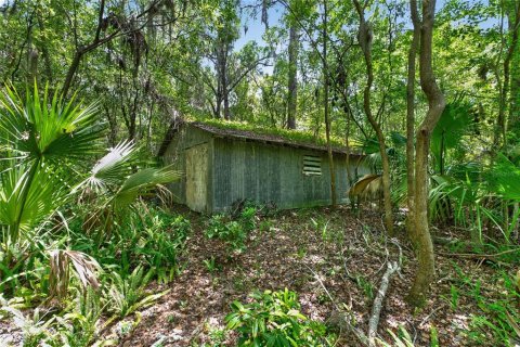 Land in Micanopy, Florida № 2197084 - photo 7