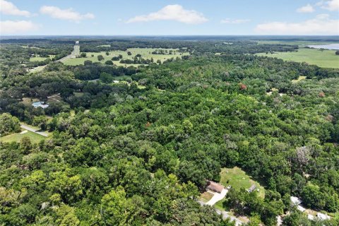 Land in Micanopy, Florida № 2197084 - photo 9