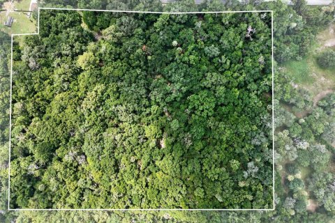 Land in Micanopy, Florida № 2197084 - photo 3