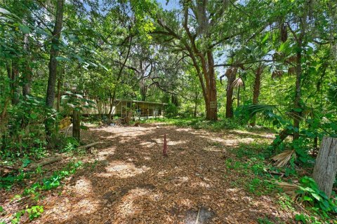 Land in Micanopy, Florida № 2197084