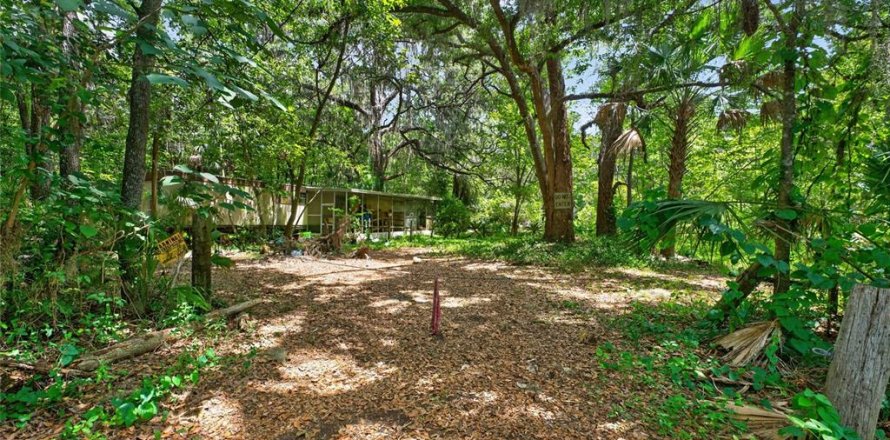 Land in Micanopy, Florida № 2197084