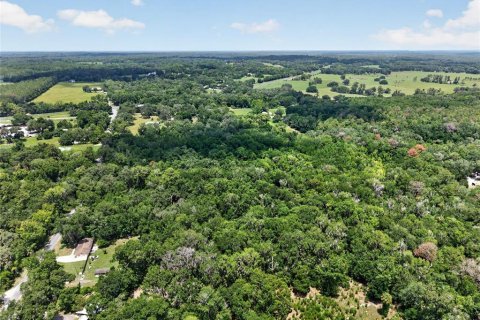 Land in Micanopy, Florida № 2197084 - photo 2