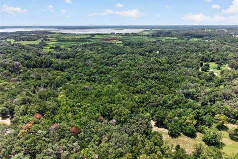 Land in Micanopy, Florida № 2197084 - photo 8