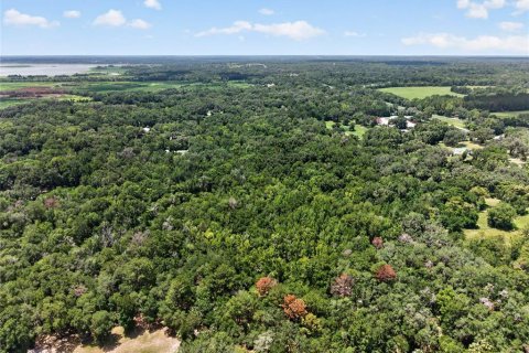 Land in Micanopy, Florida № 2197084 - photo 11