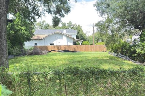 Land in Tampa, Florida № 1908553 - photo 2