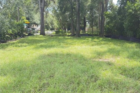 Land in Tampa, Florida № 1908553 - photo 1
