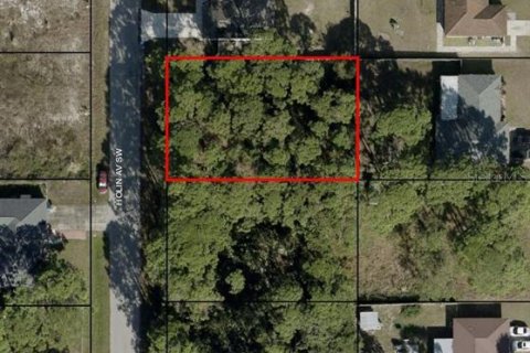 Land in Palm Bay, Florida № 2364020