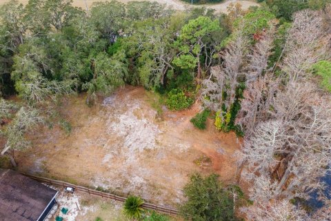 Terreno en venta en Odessa, Florida № 1553520 - foto 9